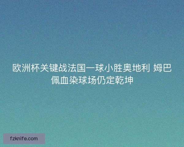 欧洲杯关键战法国一球小胜奥地利 姆巴佩血染球场仍定乾坤