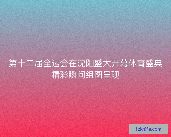 第十二届全运会在沈阳盛大开幕体育盛典精彩瞬间组图呈现