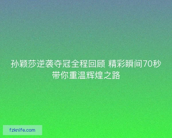 孙颖莎逆袭夺冠全程回顾 精彩瞬间70秒带你重温辉煌之路