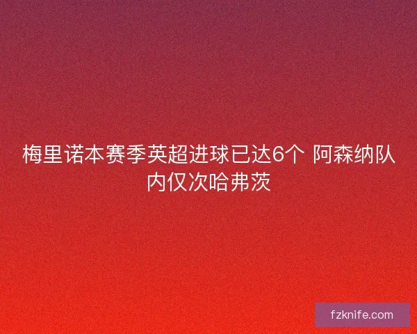 梅里诺本赛季英超进球已达6个 阿森纳队内仅次哈弗茨 梅里诺本赛季英超进球已达6个 阿森纳队内仅次哈弗茨