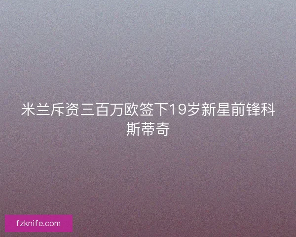 米兰斥资三百万欧签下19岁新星前锋科斯蒂奇