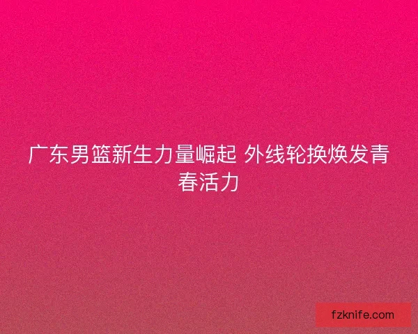 广东男篮新生力量崛起 外线轮换焕发青春活力