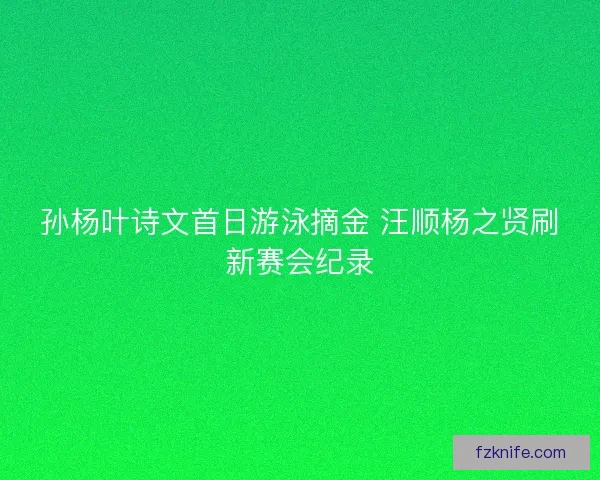 孙杨叶诗文首日游泳摘金 汪顺杨之贤刷新赛会纪录
