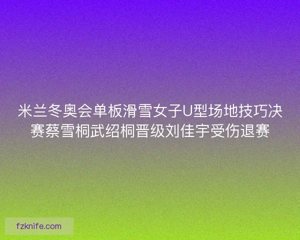 米兰冬奥会单板滑雪女子U型场地技巧决赛蔡雪桐武绍桐晋级刘佳宇受伤退赛