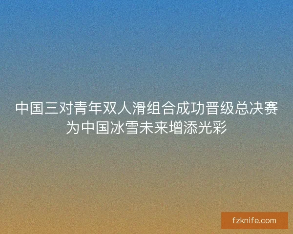 中国三对青年双人滑组合成功晋级总决赛为中国冰雪未来增添光彩