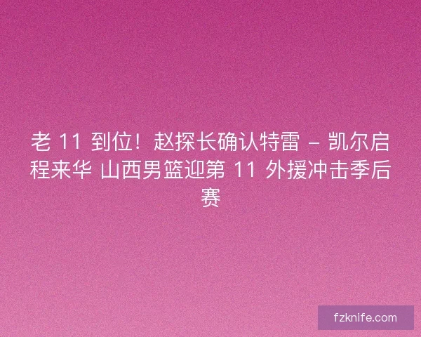 老 11 到位！赵探长确认特雷 - 凯尔启程来华 山西男篮迎第 11 外援冲击季后赛