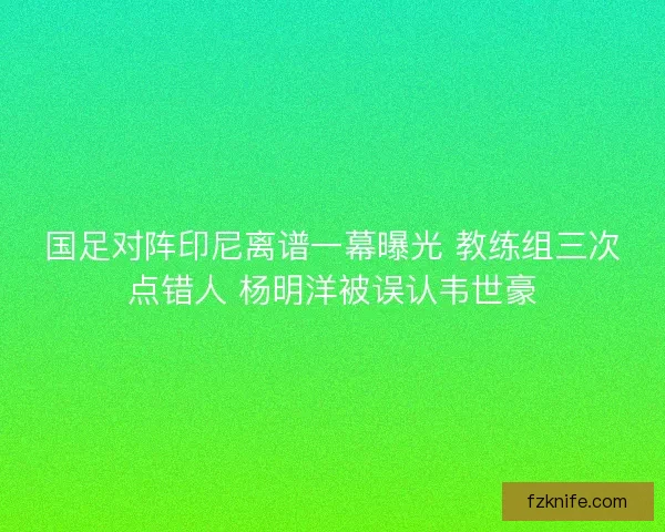 国足对阵印尼离谱一幕曝光 教练组三次点错人 杨明洋被误认韦世豪